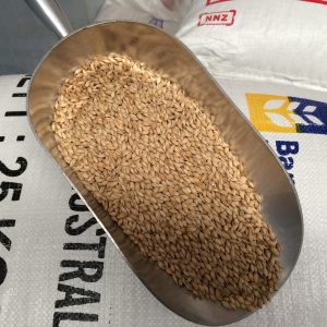 BB 1KG MUNICH MALT