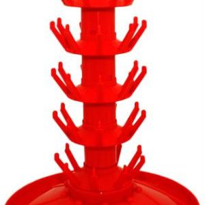 BOTTLE TREE ORANGE