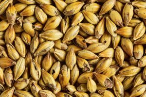SM DRC MALT 2.5KG