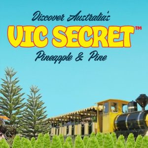 MJ 28G VIC SECRET