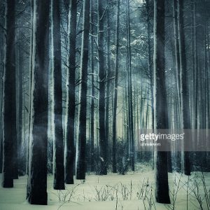 GB SNOW GHOST