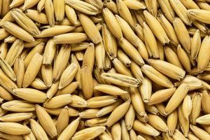 SM OAT MALT 5KG