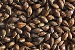SM ROASTED BARLEY 1KG