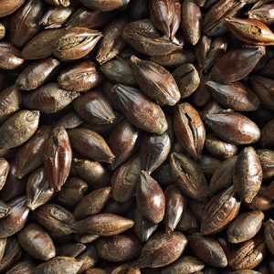 JW 1KG BLACK MALT