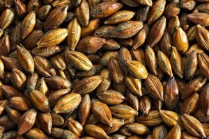 SM BROWN MALT 25KG