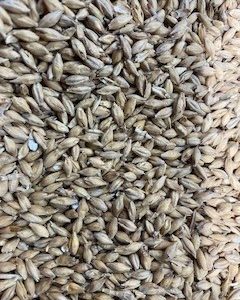 MM ALE MALT 500G