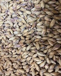 MM AMBER MALT 5KG