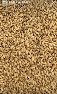 MM CHIT MALT 2.5KG