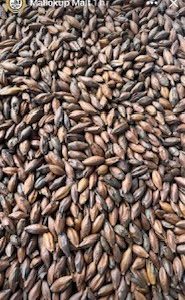 MM LIGHT CHOC MALT 2.5KG