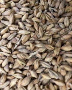 MM MUNICH MALT 25KG