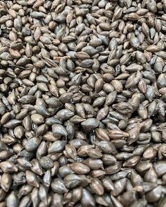 MM ROASTED BARLEY 5KG