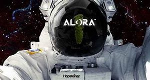 ALORA 100G